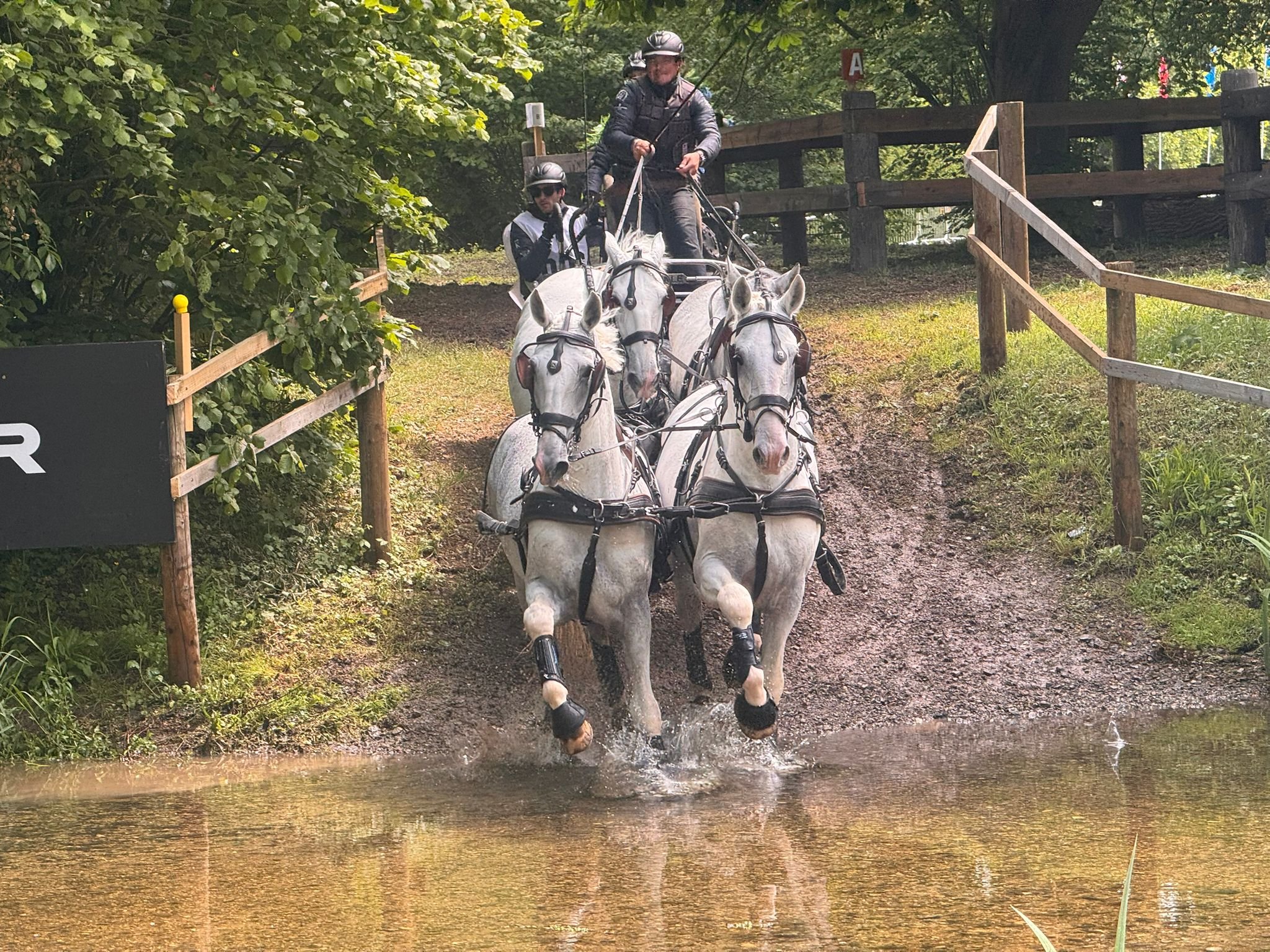 SOBOTNÍ MARATON ČTYŘSPŘEŽÍ NA ROYAL WINDSOR HORSE SHOW