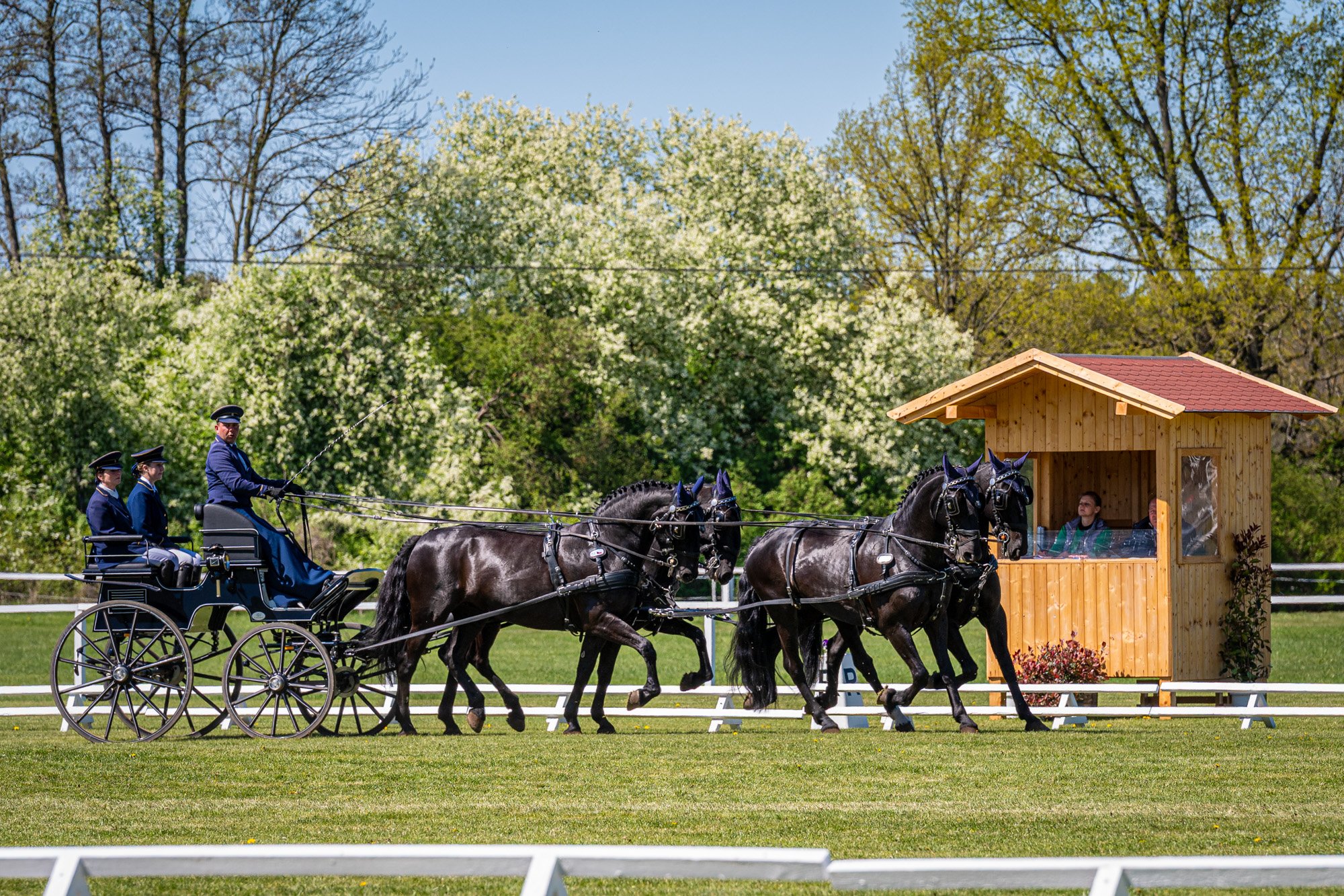 ČESKÝ TÝM PRŮBĚŽNĚ TŘETÍ PO ÚVODNÍ DREZUŘE