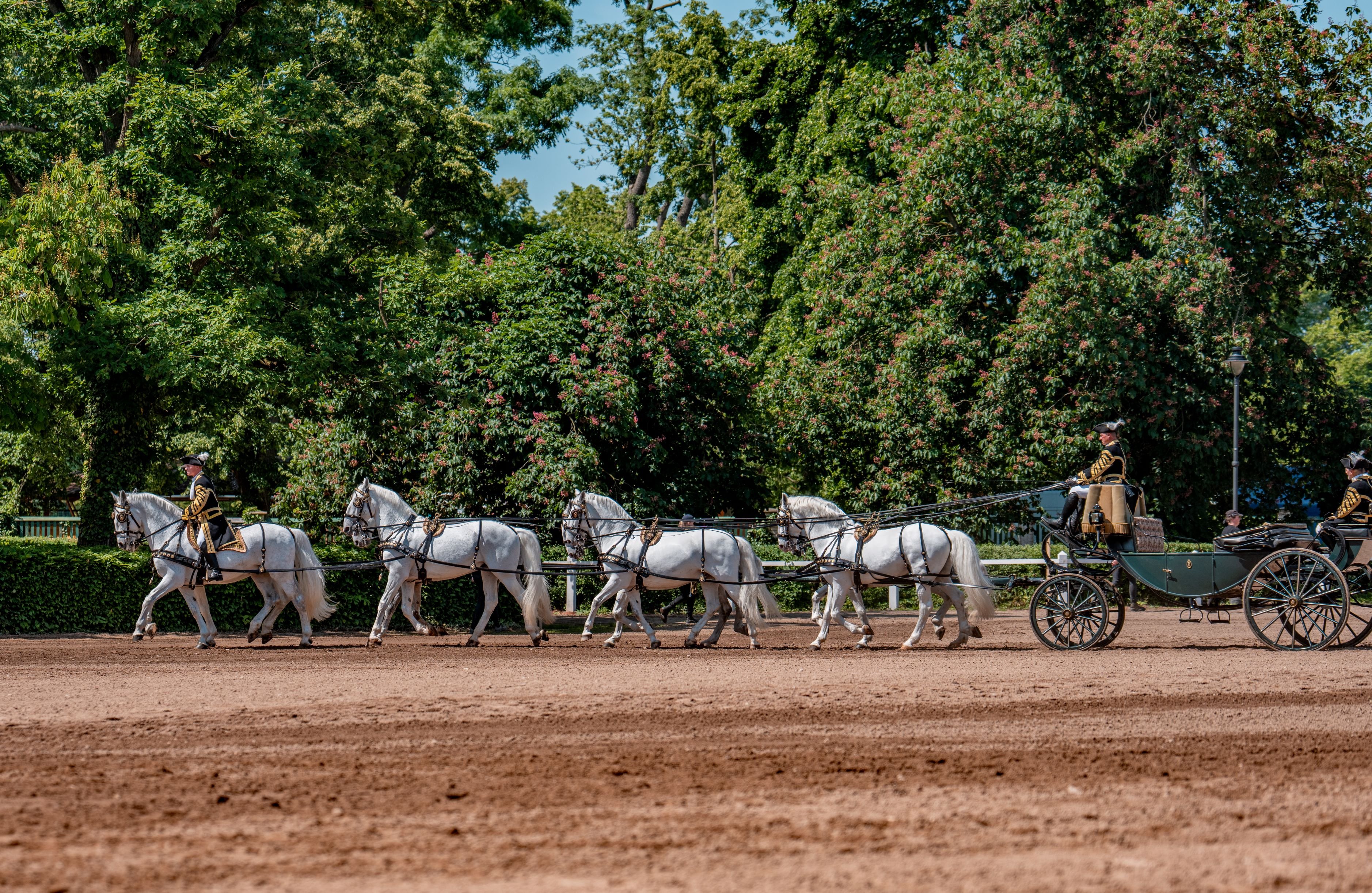 447 LET OD ZALOŽENÍ CÍSAŘSKÉHO DVORNÍHO HŘEBČÍNA V KLADRUBECH NAD LABEM