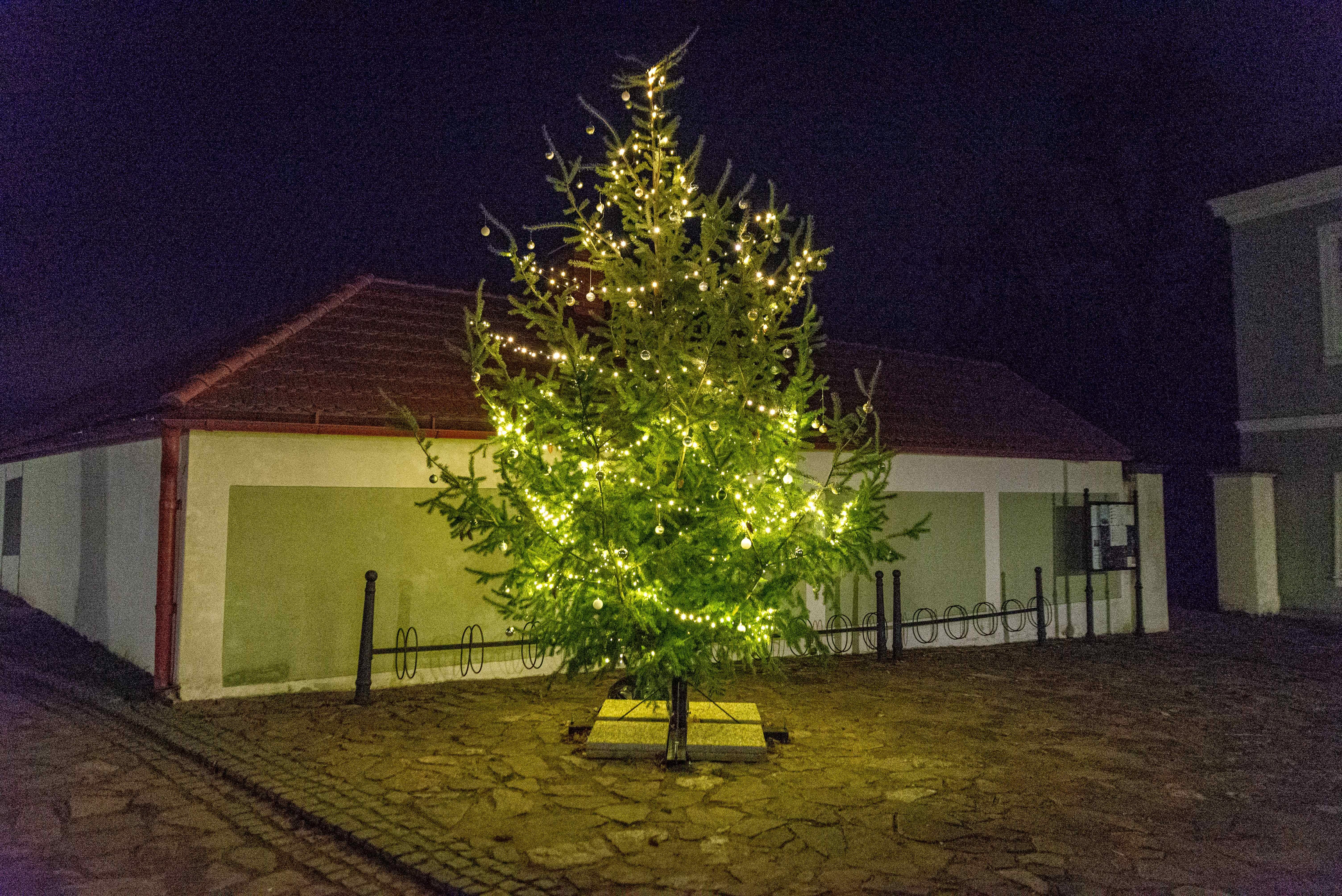 VÁNOČNÍ KOLEDY PŘED KLADRUBSKÝM ZÁMKEM