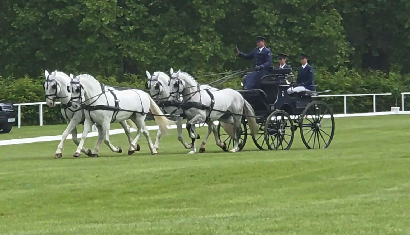 JIŘÍ NESVAČIL JUN. ABSOLVOVAL DREZURU NA ROYAL WINDSOR HORSE SHOW 
