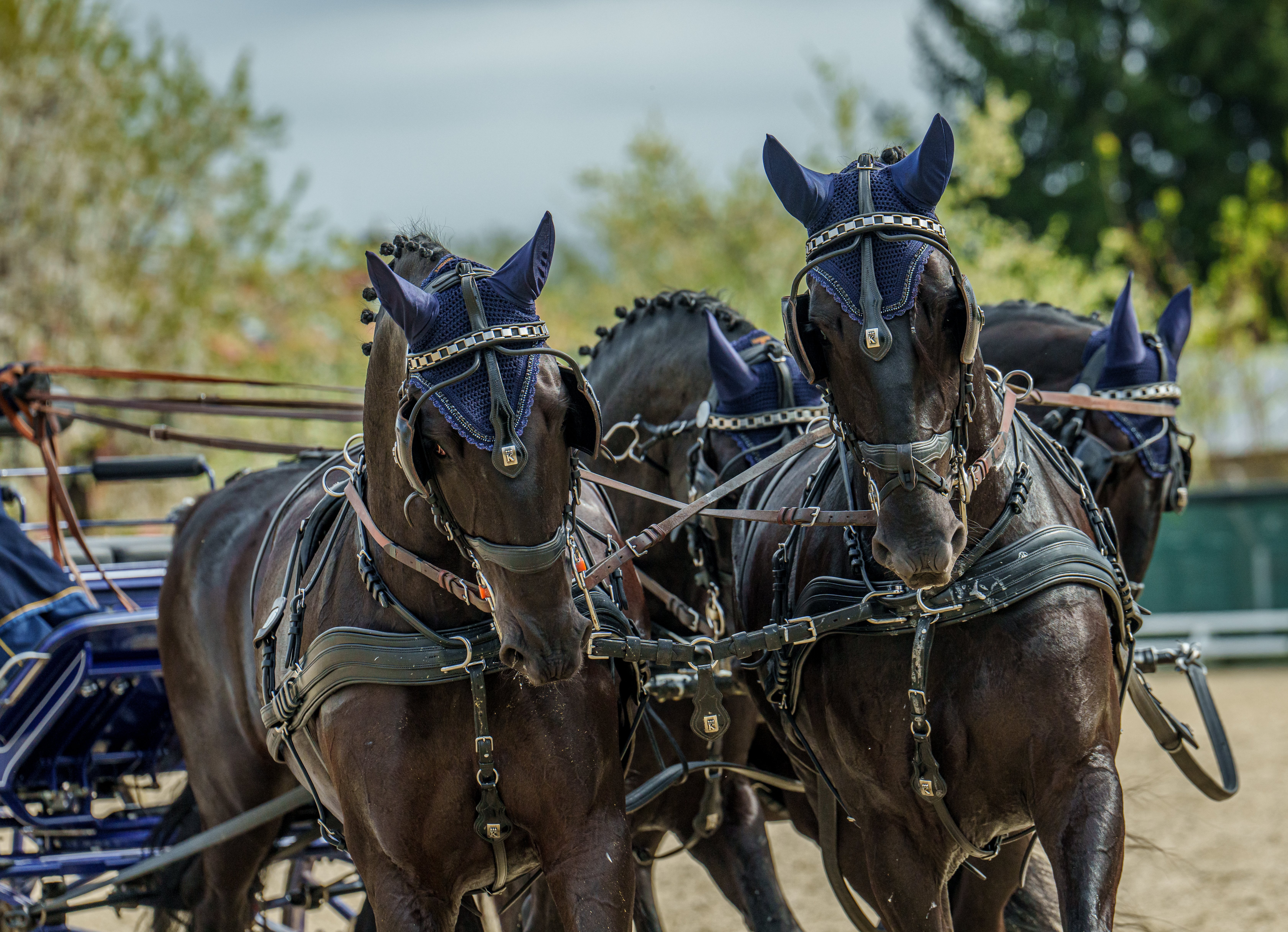JEDNODENNÍ ZÁVODY SPŘEŽENÍ CAN1* VE SLATIŇANECH