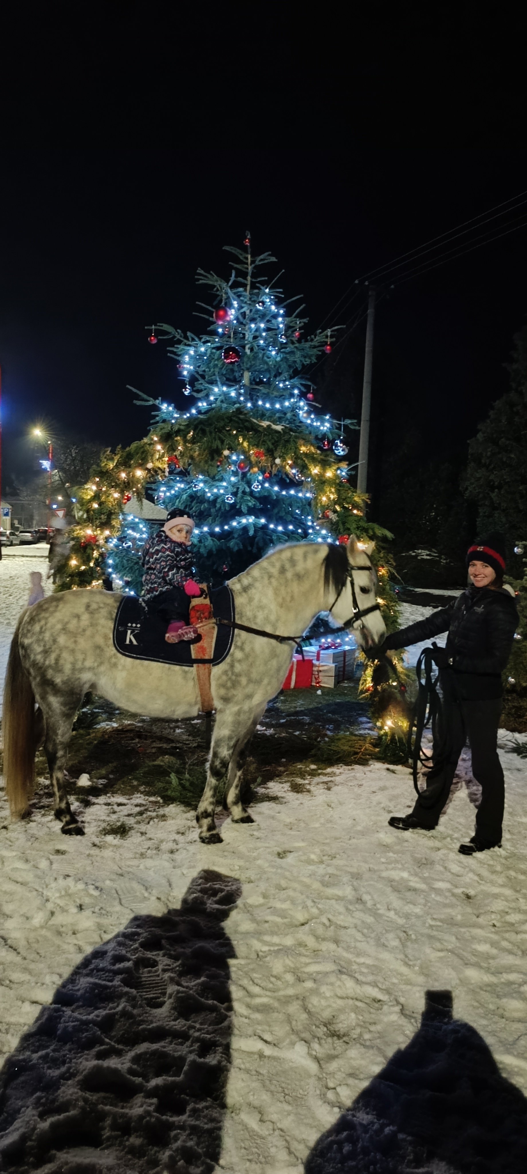 KONĚ Z NÁRODNÍHO HŘEBČÍNA SOUČÁSTÍ SLAVNOSTNÍHO ROZSVÍCENÍ VÁNOČNÍHO STROMEČKU V KLADRUBECH NAD LABEM
