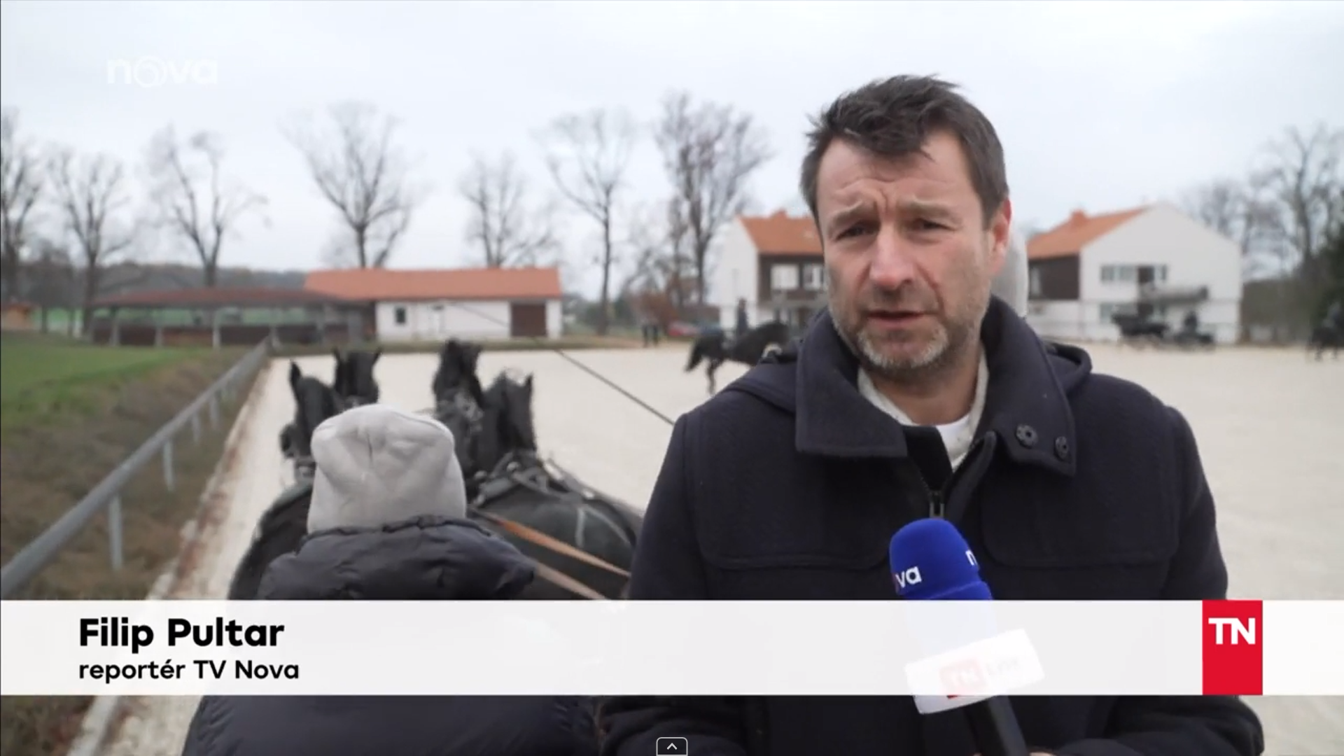 O PRODEJI STAROKLADRUBSKÝCH VRANÍKŮ DO USA V TV NOVA