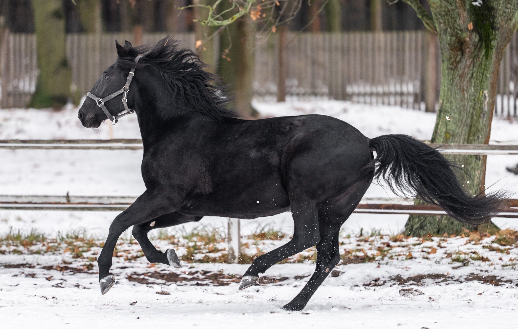 ZIMNÍ PROHLÍDKOVÝ OKRUH 