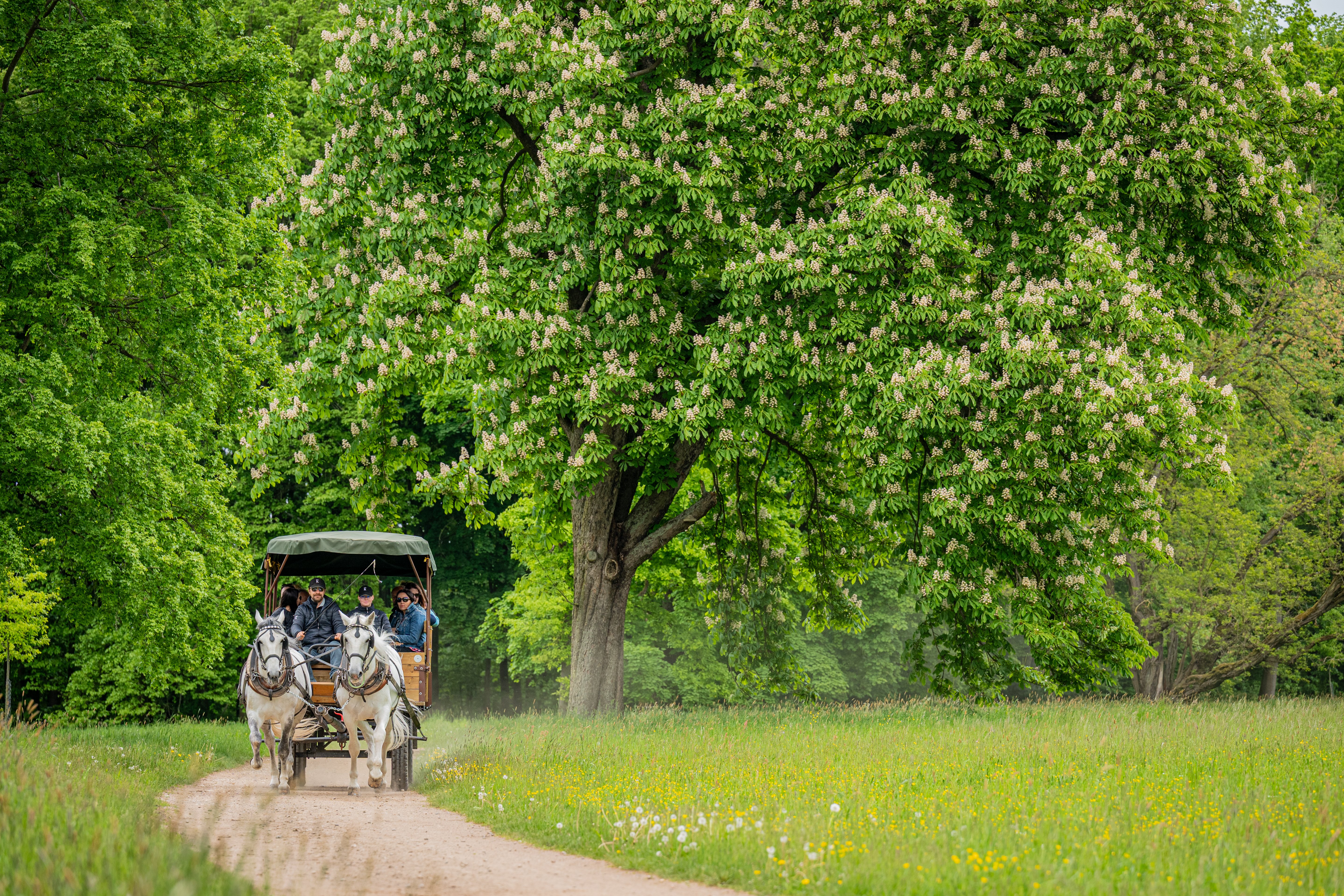 PRVNÍ KOMENTOVANÁ PROJÍŽĎKA KRAJINOU UNESCO ROKU 2026