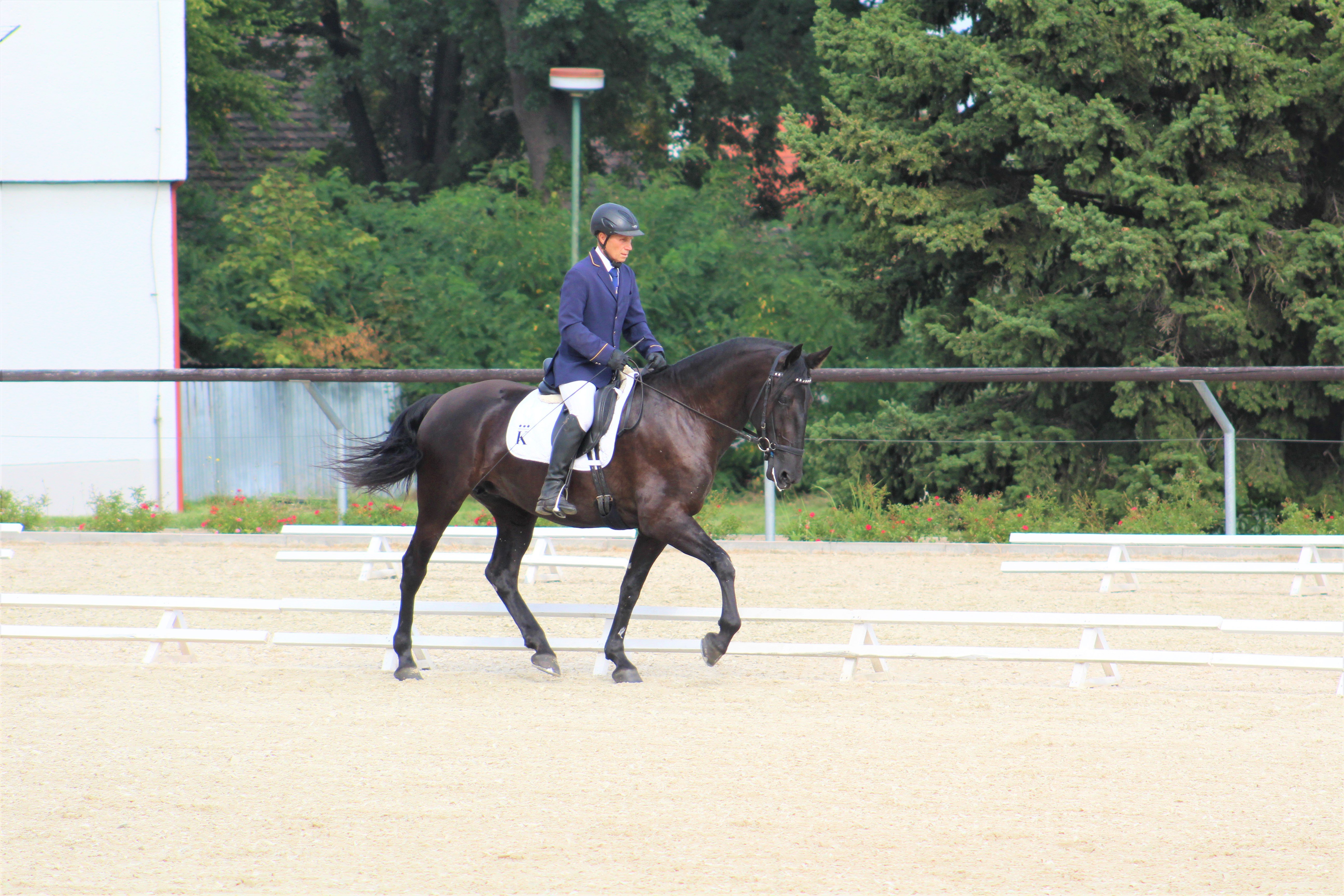 Servia-50 Servia-50