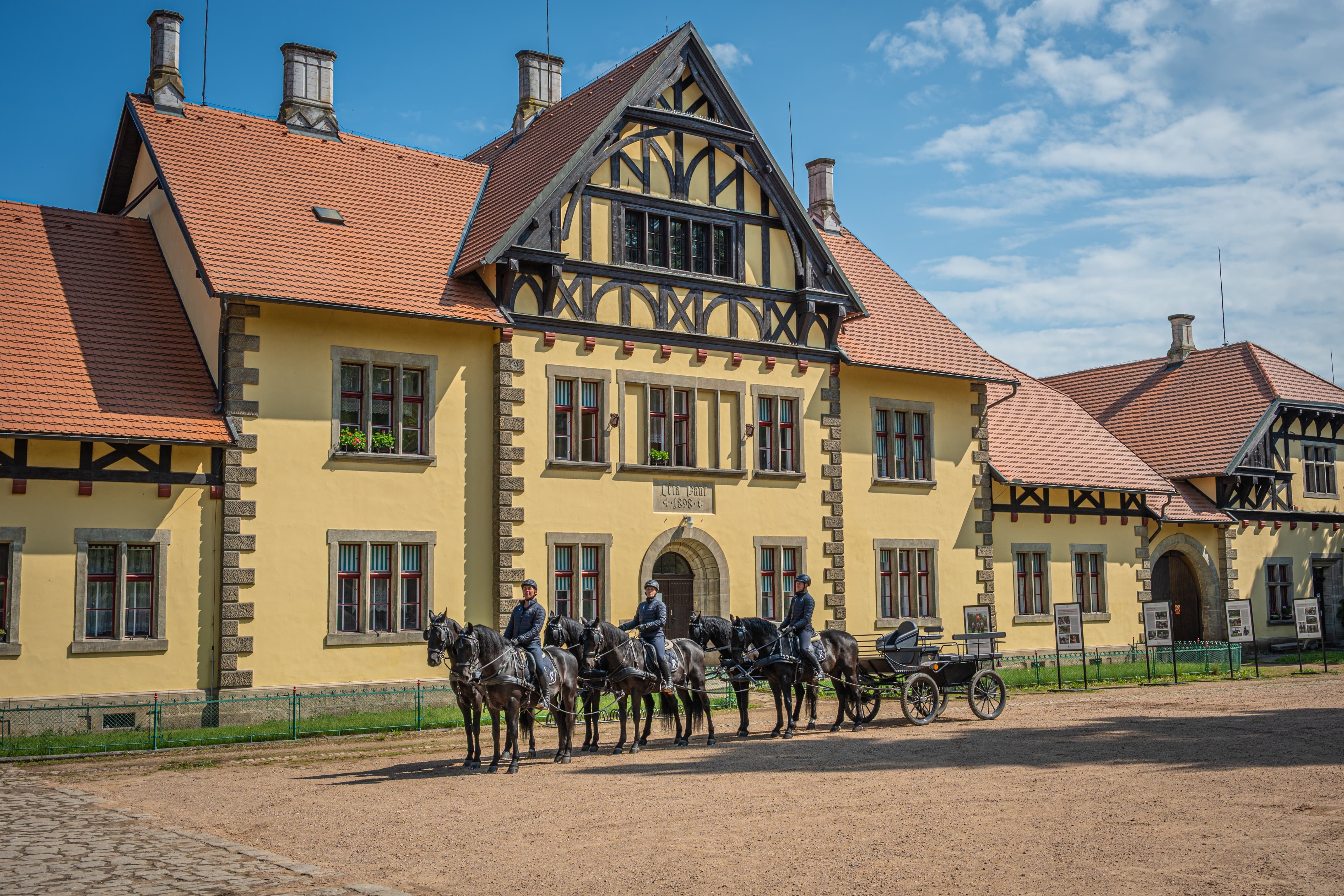 STAROKLADRUBŠTÍ VRANÍCI SLOUŽÍ JAKO CEREMONIÁLNÍ KONĚ AMERICKÉ ARMÁDY