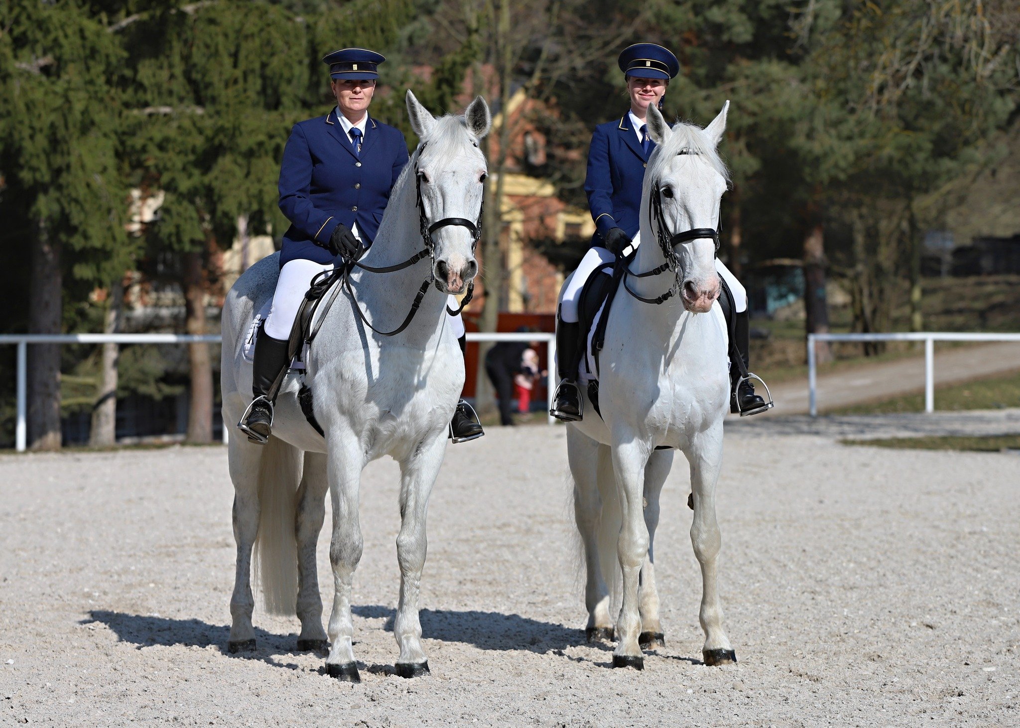 JARNÍ PŘEHLÍDKA PLEMENNÝCH KONÍ V PÍSKU S ÚČASTÍ STAROKLADRUBSKÝCH KONÍ